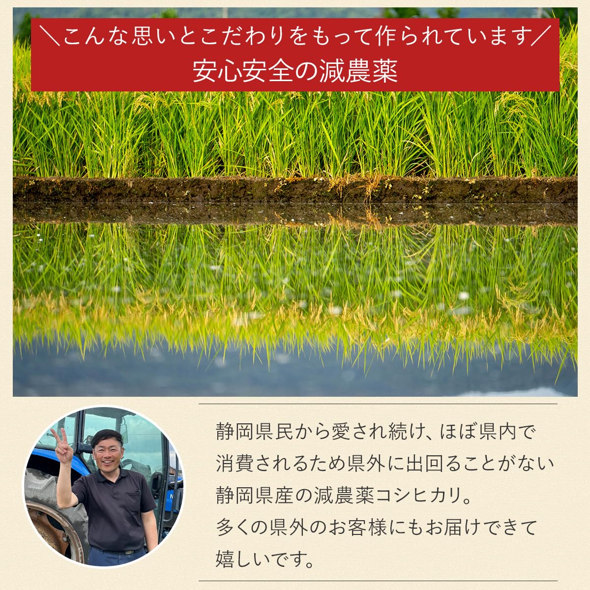 Amazon.co.jp: 令和7年産 新米 農薬7割減 特別栽培米 コシヒカリ 静岡